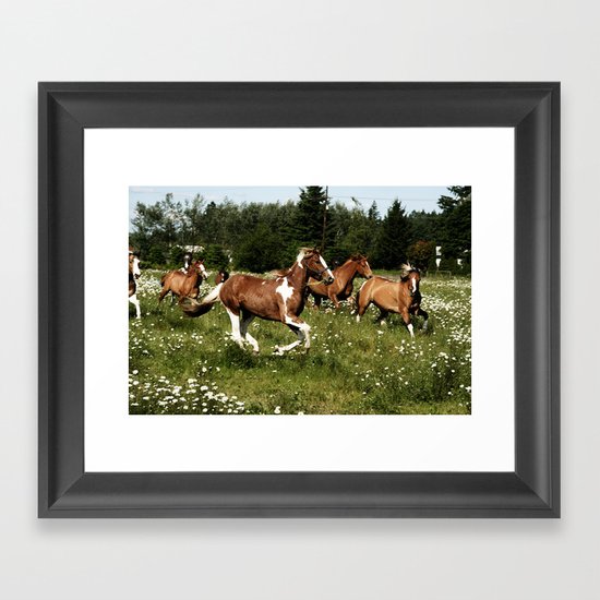 Spring Horse Run Framed Art Print