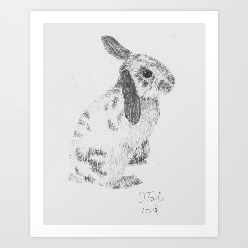 Rabbit Pencil Drawing Art Print By Crumbledoodle Society6