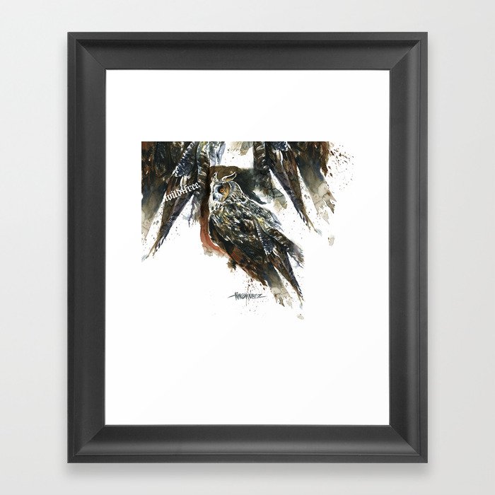Long Eared Owl Framed Art Print