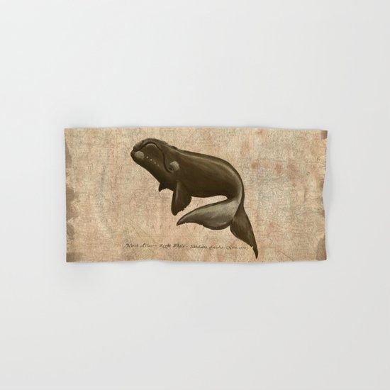 North Atlantic Right Whale Hand & Bath Towel