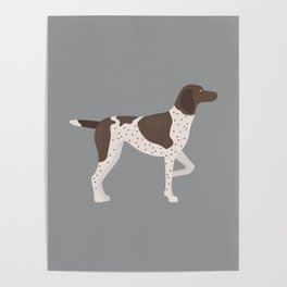 German Shorthaired Pointer Poster