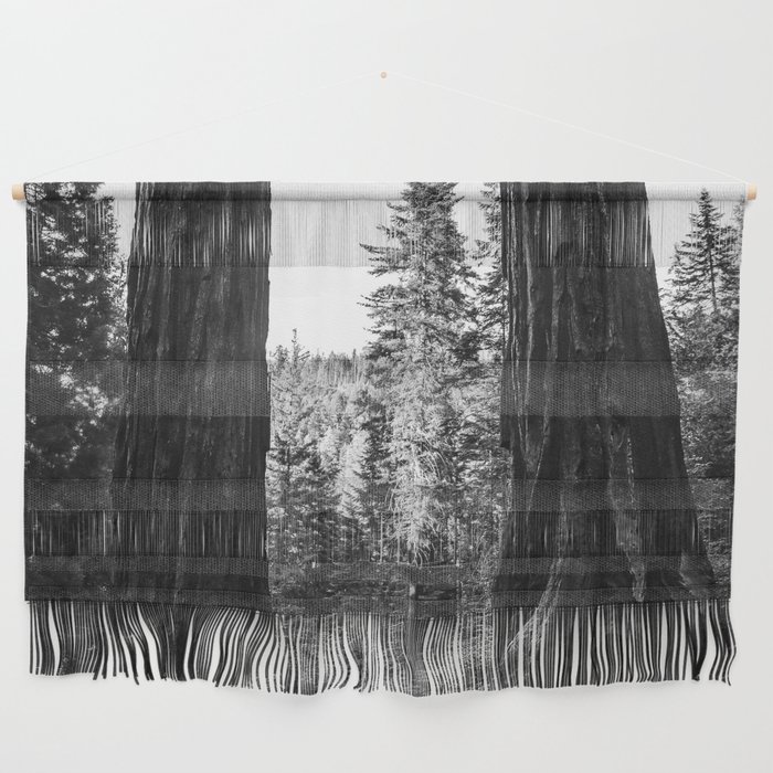 Twin giant redwoods II portrait version / sequoias Pacific Coast California nature black and white landscape photograph / photography Wall Hanging