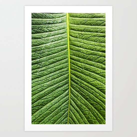 Leaf texture Art Print