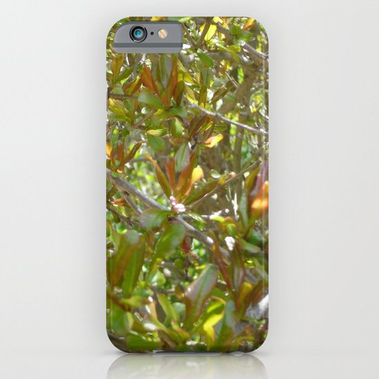 Motley iPhone & iPod Case