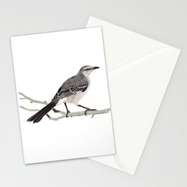 Northern mockingbird - Cenzontle - Mimus polyglottos Stationery Cards