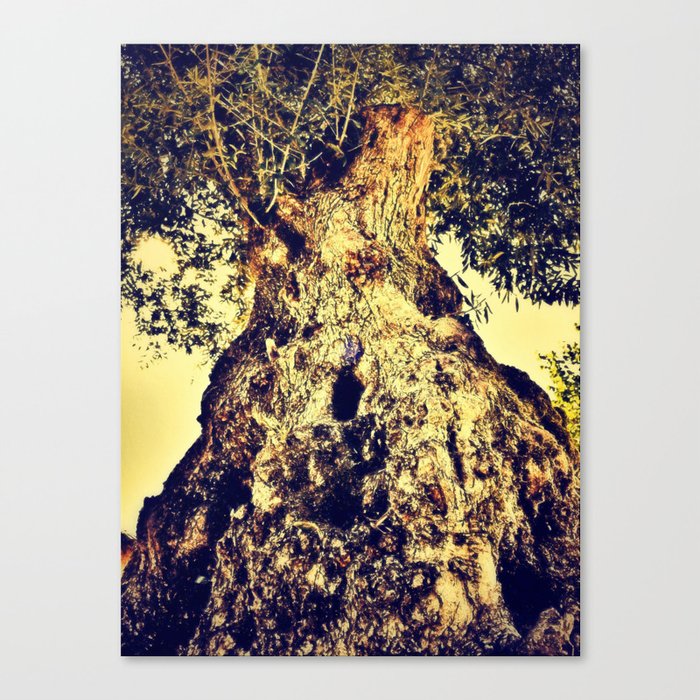 Born in Yellow Canvas Print