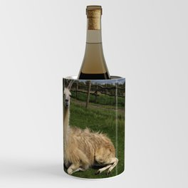Llama Field On Farm England Wine Chiller