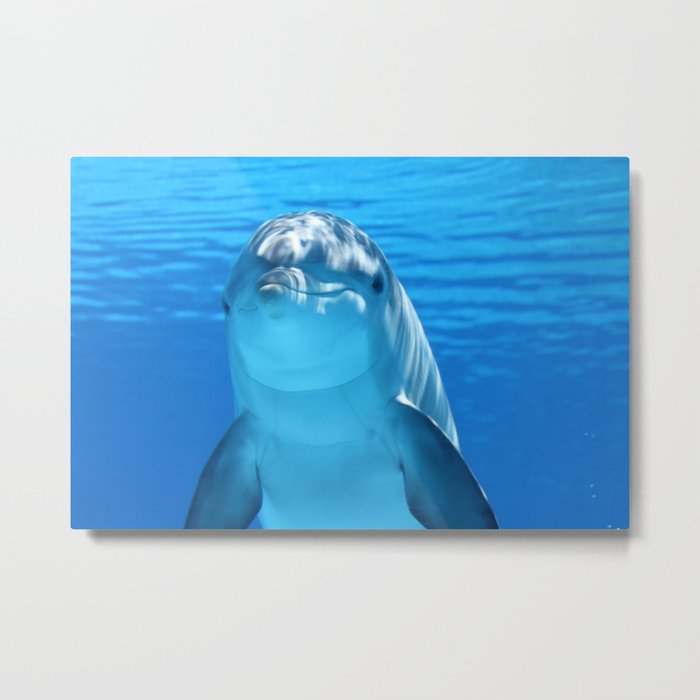Dolphin's Smile Metal Print