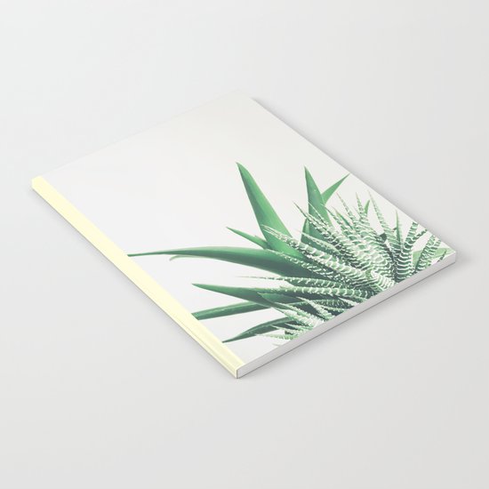 Overlap Notebook