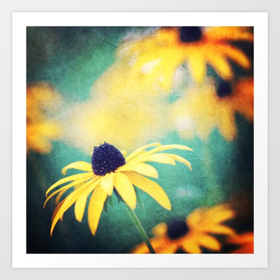 black eyed susan Art Print