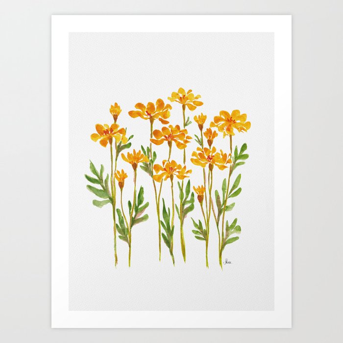 Golden Marigold Flowers Art Print