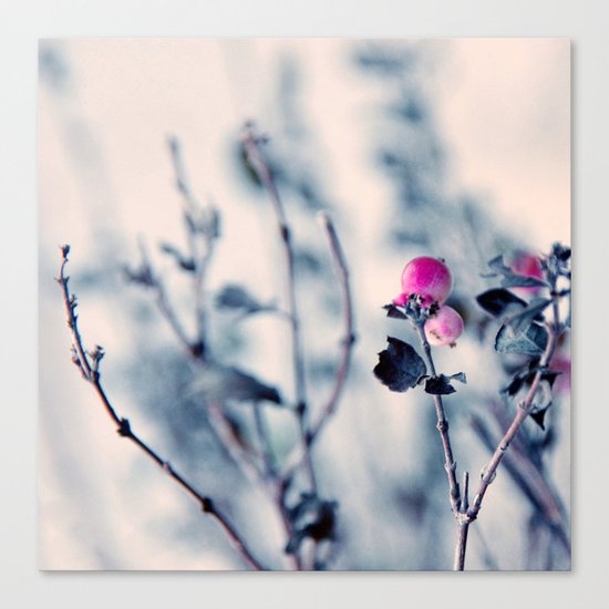 pink berry Canvas Print