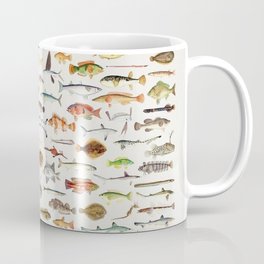 Illustrated Colorful Southern Pacific Exotic Game Fish Identification Chart Mug