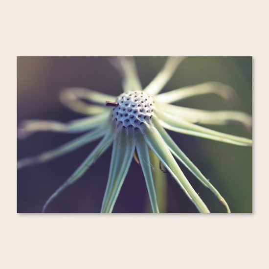 Circular Canvas Print