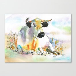 lying cow Canvas Print