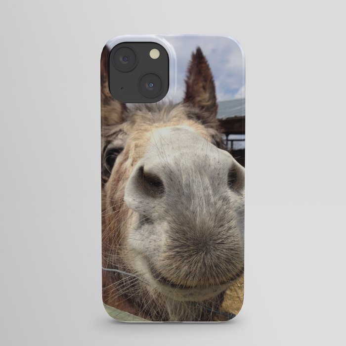 Donkey Smiles iPhone Case