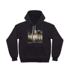 Time Standing Still Vol.9 Hoody | Woods, Original, Photo, Forests, Color, Evergreen, Magical, Digital, Nature, Fineart 