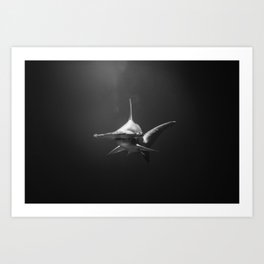Hammerhead Shark (Black and White) Art Print