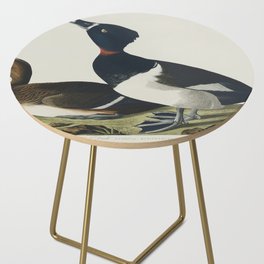Ring-necked Duck from Birds of America (1827) by John James Audubon Side Table