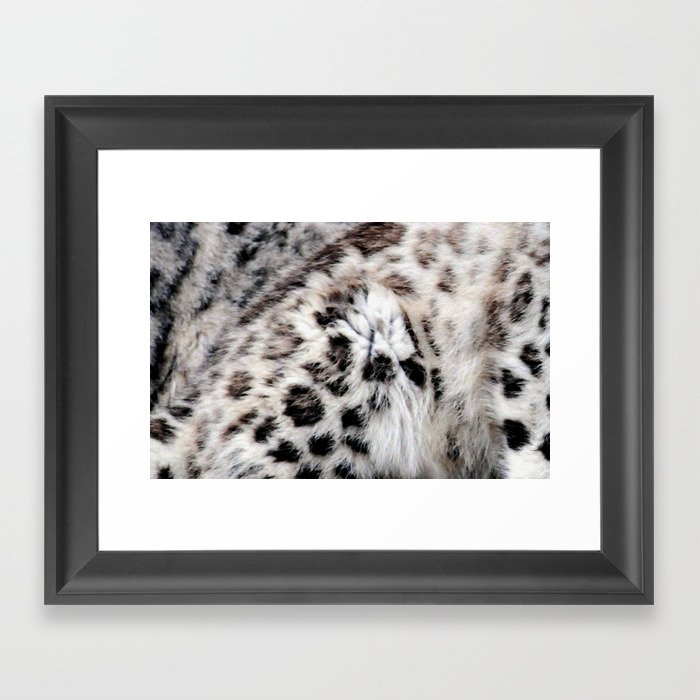 Snow Leopard Framed Art Print