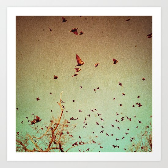 The Birds Art Print