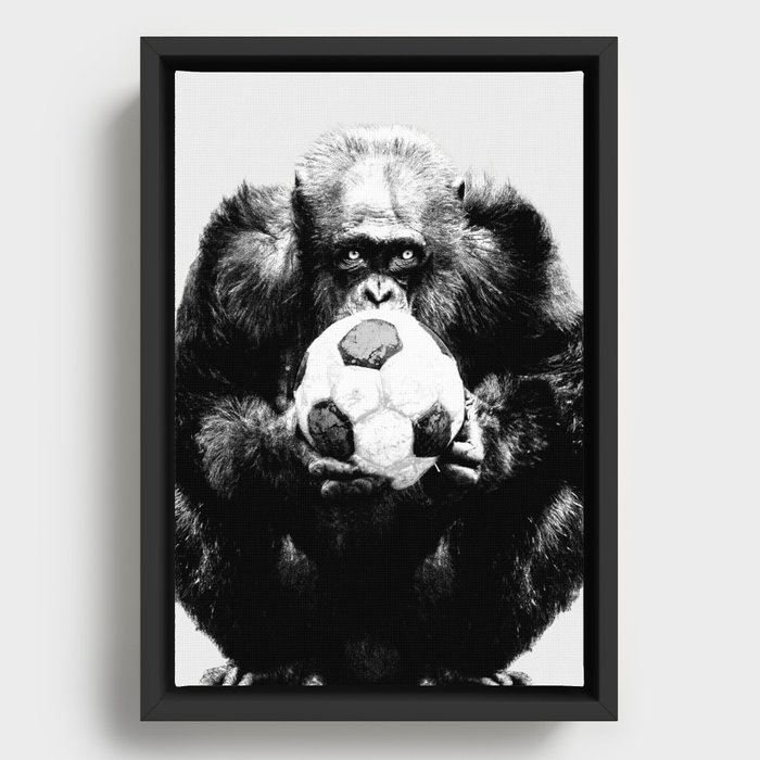 Soccer Chimp Framed Canvas