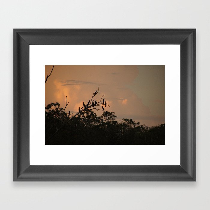 Sunrise On The Amazon River Peru Framed Art Print
