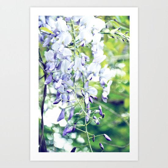 LOVELY WISTERIA Art Print