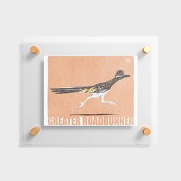 Retro-Modern bird collection, modern Greater Roadrunner Floating Acrylic Print