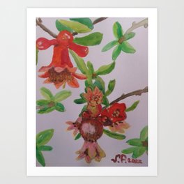 Armenian Pomegranates Art Print