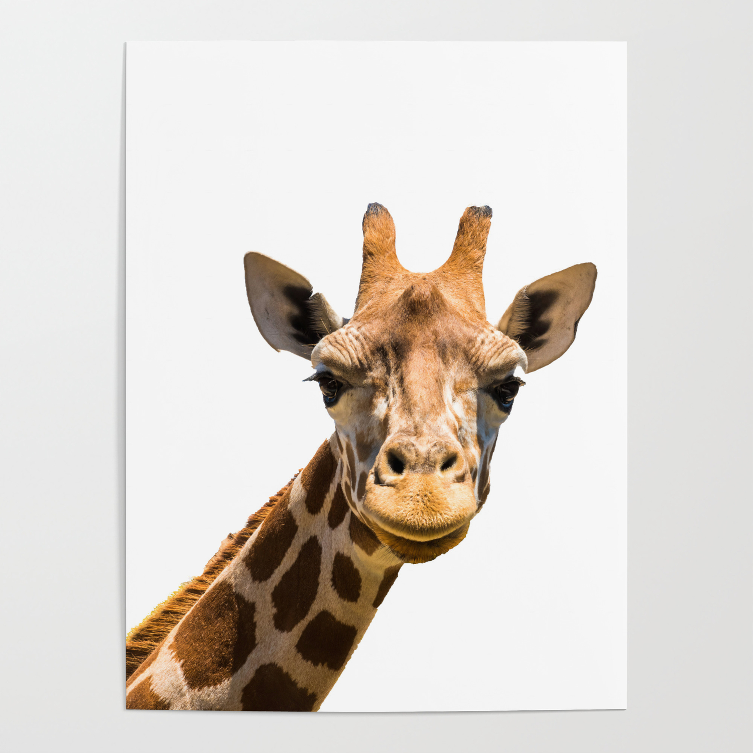 Giraffe funny face Poster by Constantin Stanciu | Society6