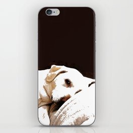 The Look - High Contrast Labrador Retriever Dog Art iPhone Skin