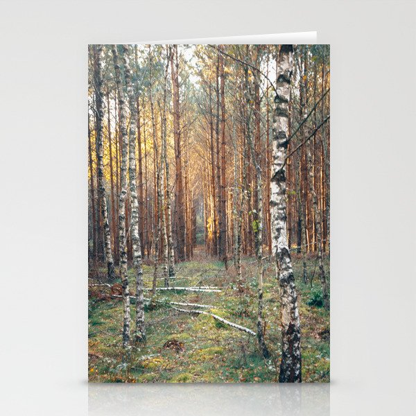 Forest Scene Stationery Cards