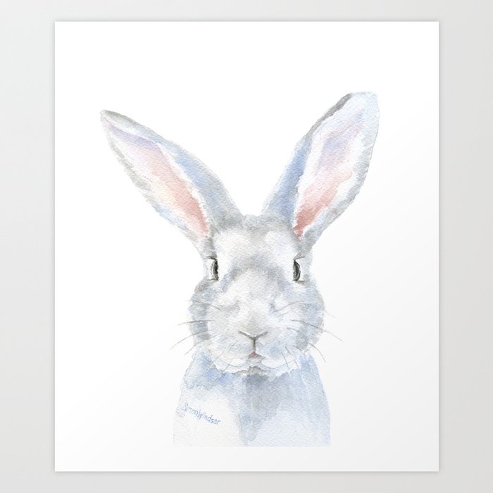 Gray Bunny Rabbit Watercolor Painting Art Print By Susanwindsor