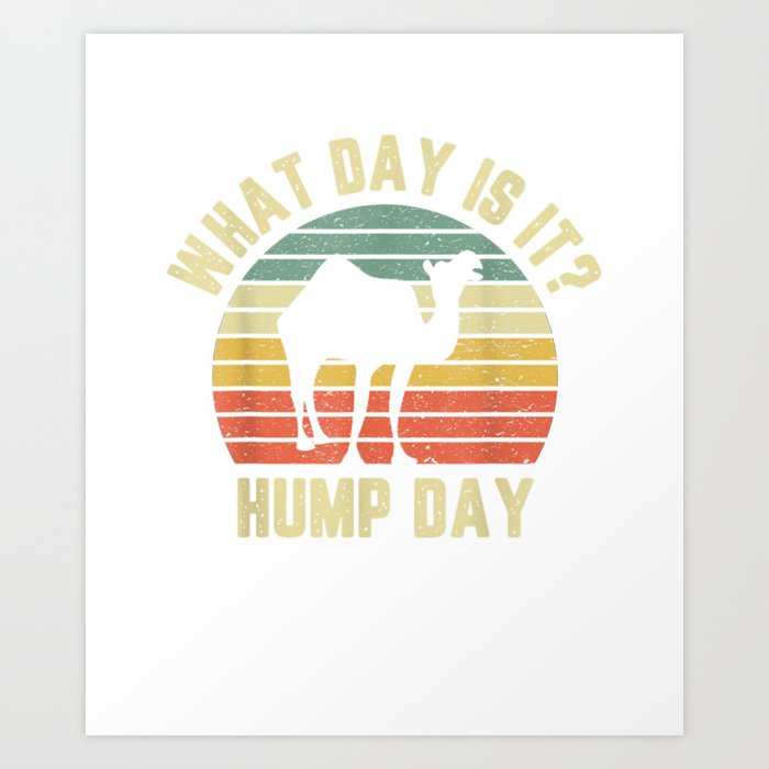 hump day funny camel