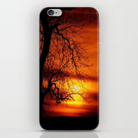 Reaching For The Light iPhone & iPod Skin
