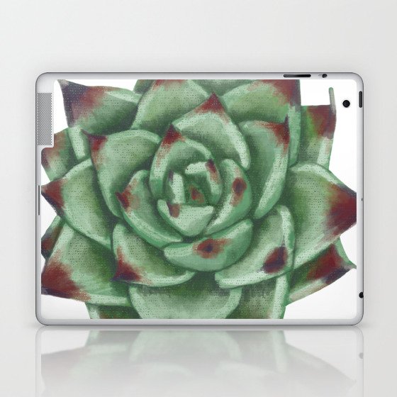 Echeveria colorata Laptop & iPad Skin