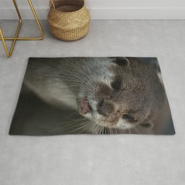 Otterly Sweet Face Area & Throw Rug