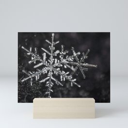 Two Snowflakes Mini Art Print