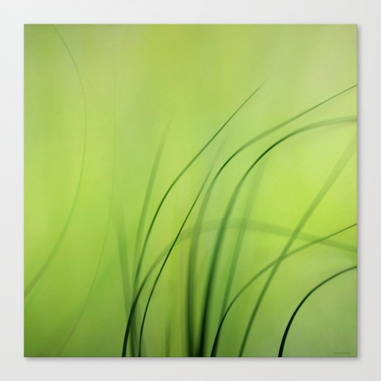 Sway (Grass) Canvas Print