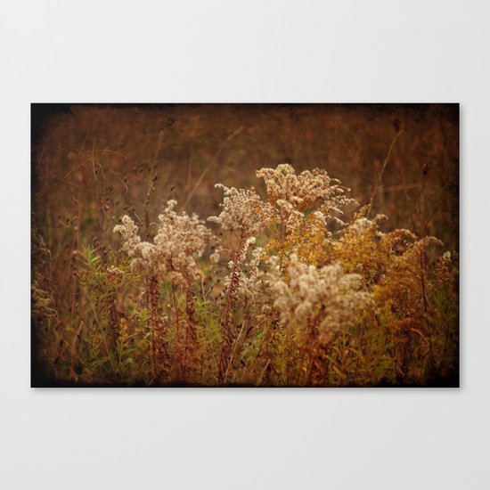 Dried Arrangement Canvas Print
