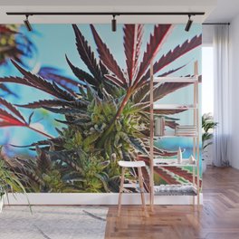 Ganja Wall Murals Society6