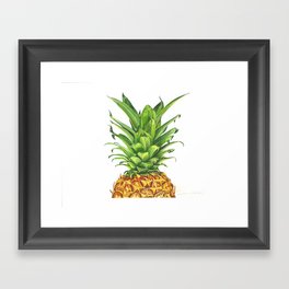 Watercolor Pineapple Framed Art Print