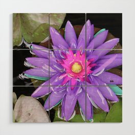 Purple turquoise aquatic waterlily lotus flower in full bloom water in Thailand Wood Wall Art