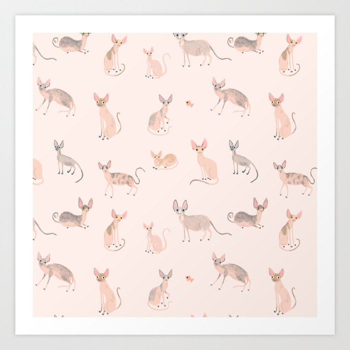 Sphynx Cats - No Furr Don't Care - Cat Pink Art Print