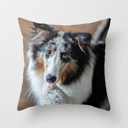 Sheltie dog and the sock Throw Pillow