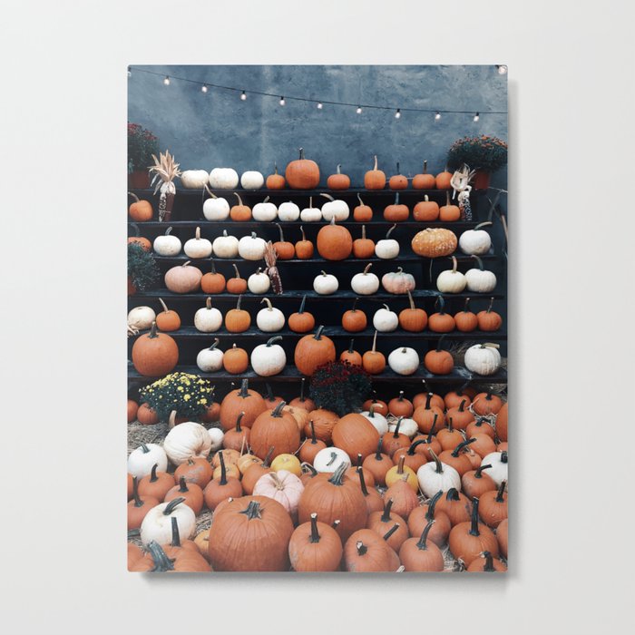 Autumn Pumpkins Metal Print