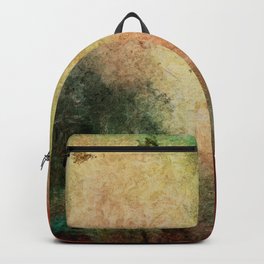 Old red green yellow Backpack