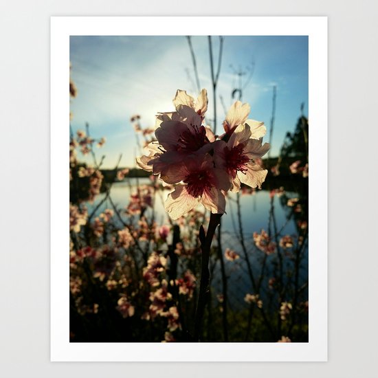 Floral Art Print