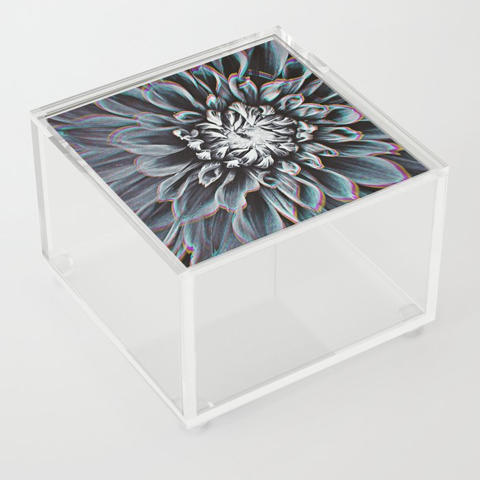 Double Visions Acrylic Box